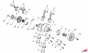 OEM Engine Parts Diagrams - Drive Shaft
