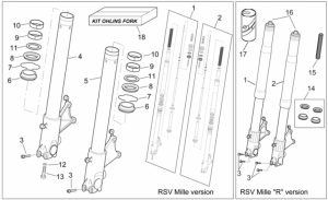 Frame - Fron Fork II