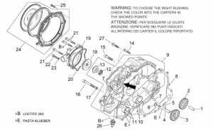 Engine - Water Pump