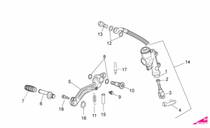 OEM Frame Parts Diagrams - Rear Master Cylinder
