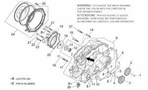 Engine - Water Pump