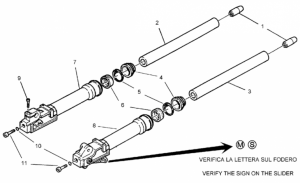 Frame - Fork II