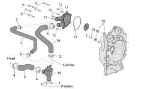 Engine - Water Pump