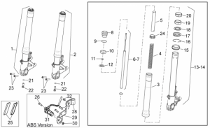 Frame - Front Fork