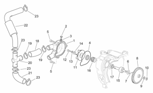 Engine - Water Pump