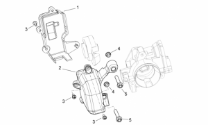 Engine - Throttle Body Protection